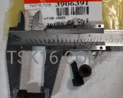 Болт М6*1,0*16 с торцевой головкой М22 (модуль управления) 3906391 - ISF2.8 (Ориг)
